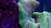 24 feb 2011